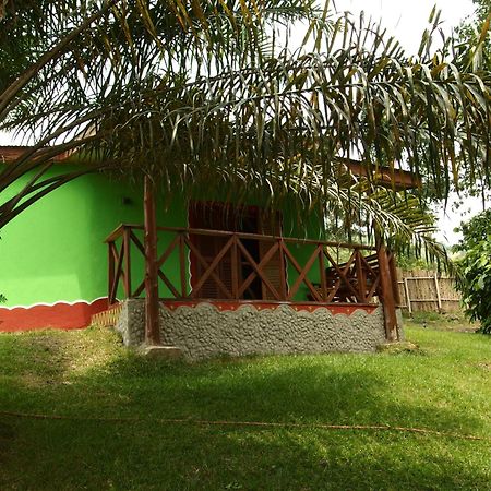 Cocoa Village Guesthouse Obo  Εξωτερικό φωτογραφία