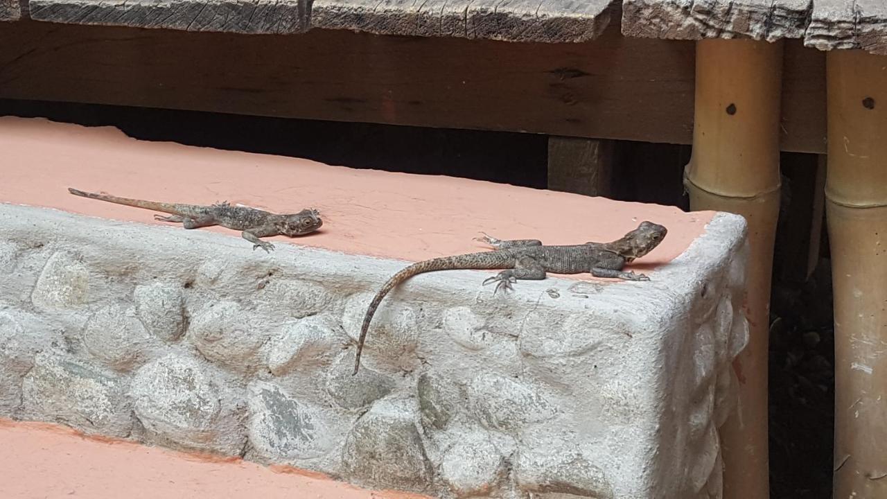 Cocoa Village Guesthouse Obo  Εξωτερικό φωτογραφία