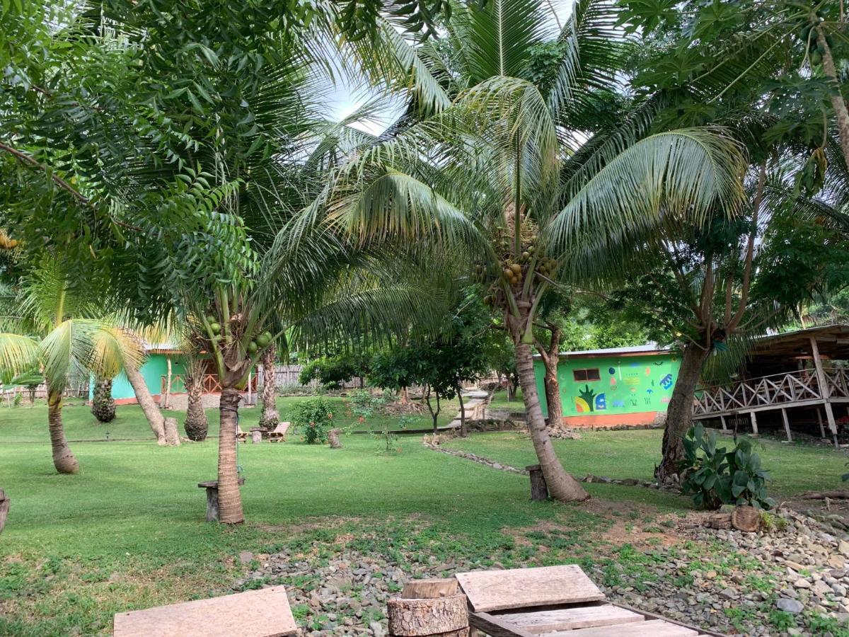 Cocoa Village Guesthouse Obo  Εξωτερικό φωτογραφία